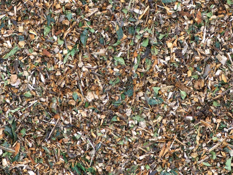 Ground Leaves Chippings main texture preview