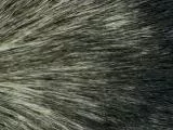 S S Doghair main texture preview