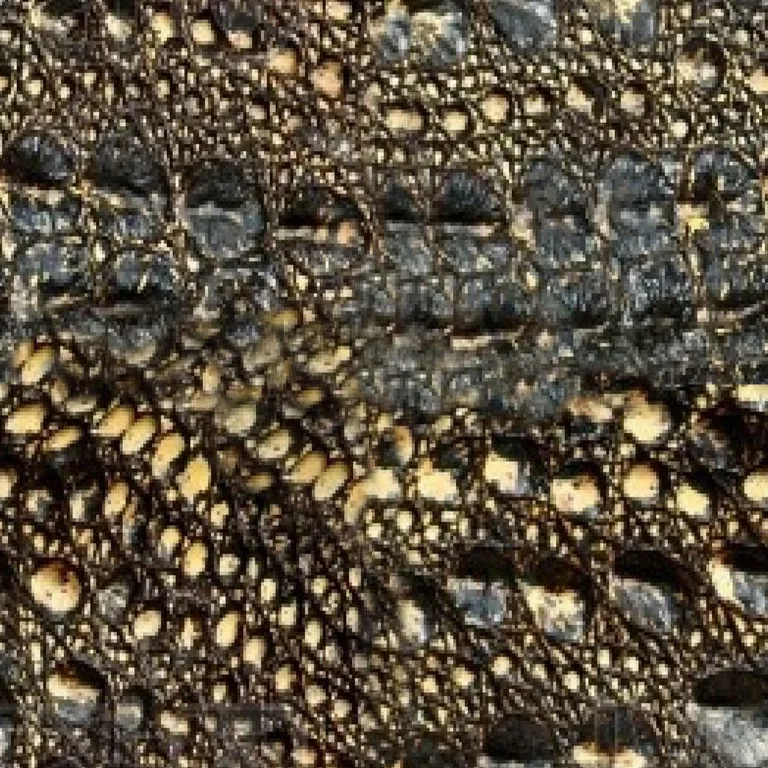 Croc Yellow Small main texture preview
