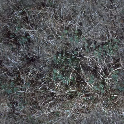 Nature005 main texture preview
