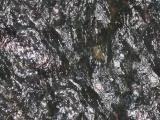 S S Stone12L main texture preview