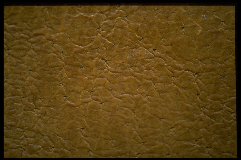 Elephant Skin main texture preview
