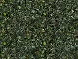 S S Forst3 T main texture preview