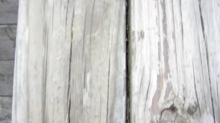 Sourcephoto Old Wood4 texture preview