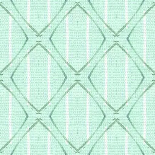 025Ppv main texture preview