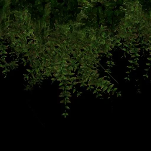 Vigne 2 main texture preview
