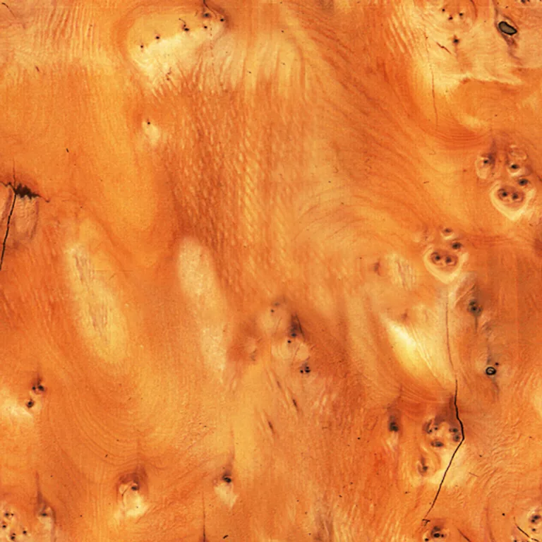 Wood Figured Yew Wood Pxr128 Cc By By Pixar main texture preview