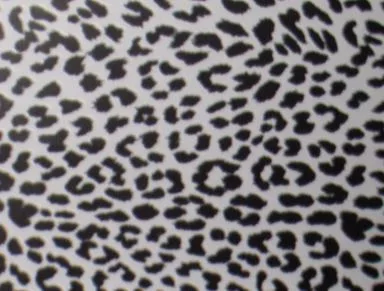 Panthere main texture preview