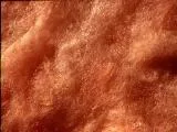 S S Fibrglas main texture preview