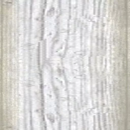 Texture Boardwalk Single Board White main texture preview