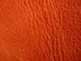 S S Leather2 main texture preview