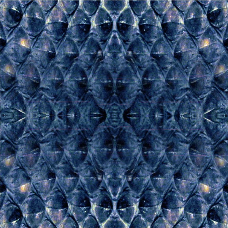 Main Texture for Snake Blue