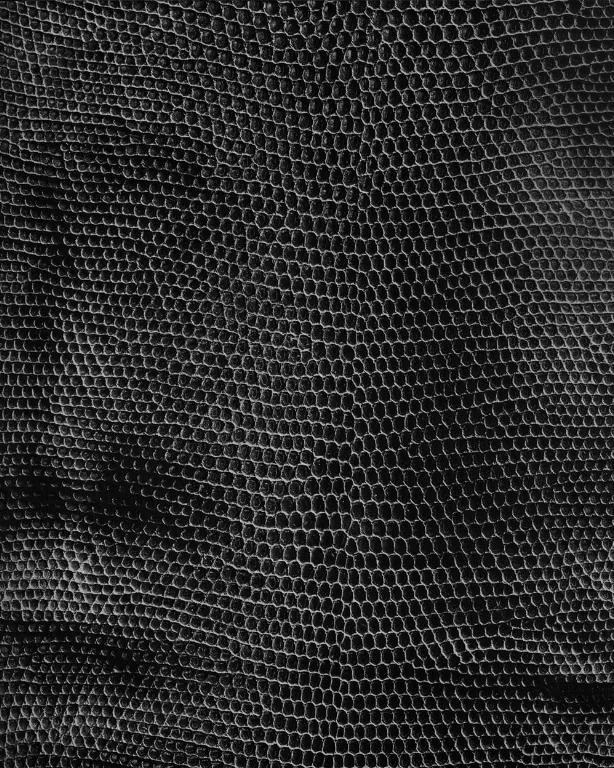 D03 Reptile Skin main texture preview