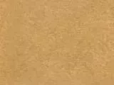 S S Brnbag T main texture preview