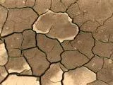 S S Cracks main texture preview
