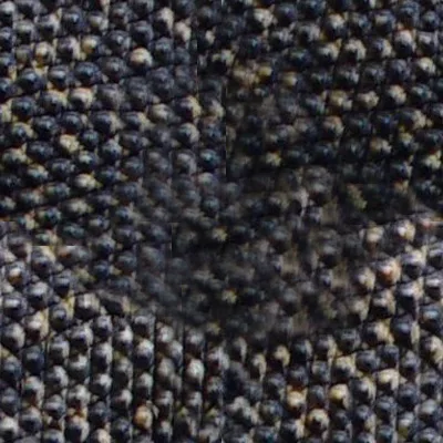 Main Texture for Komodo Dragon Skin