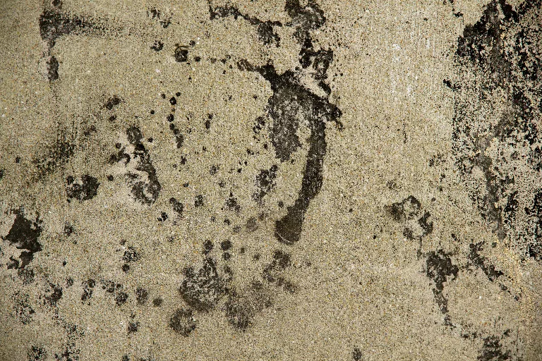 43 main texture preview