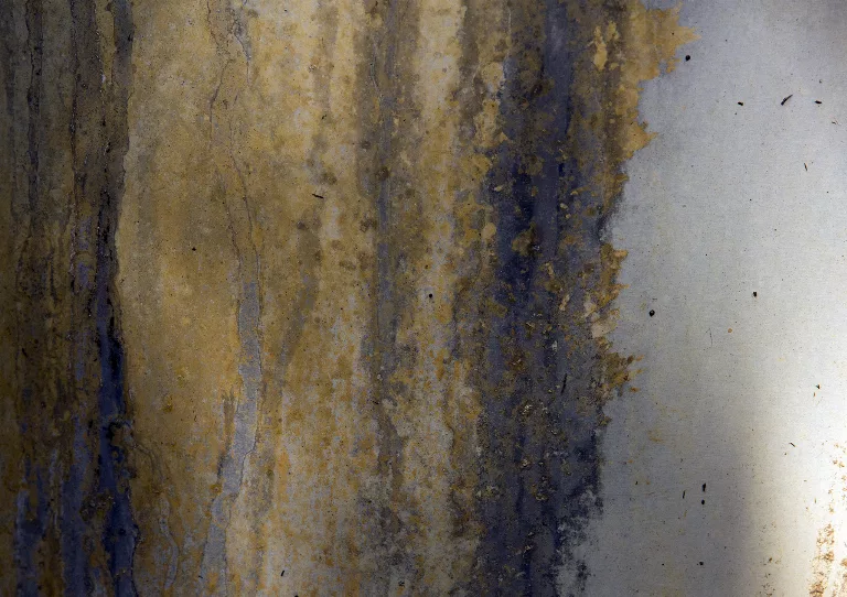 37 main texture preview