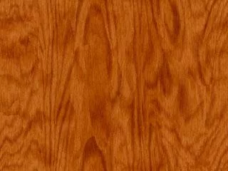Wood0008 main texture preview