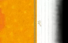 Butt main texture preview