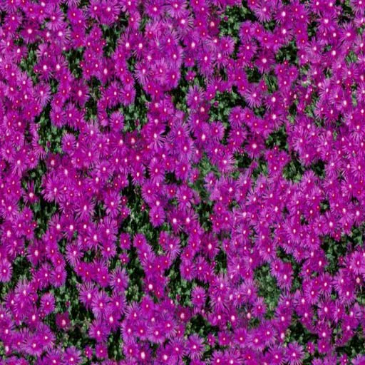Nature091 main texture preview