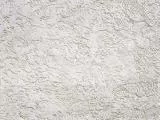 S S Tex 019 main texture preview
