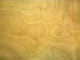 S S Plywood2 main texture preview