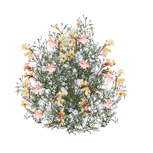 Peach Delicate Flowers texture preview