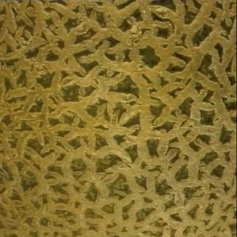 Cantelop main texture preview
