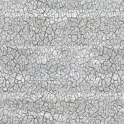 Bt Shabbychic White Crackle main texture preview