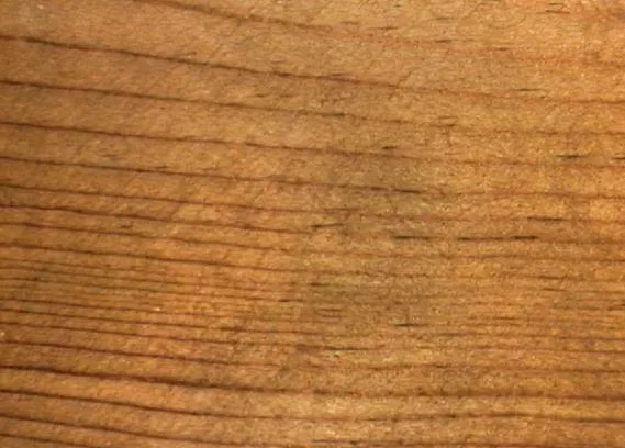 Pine1 main texture preview