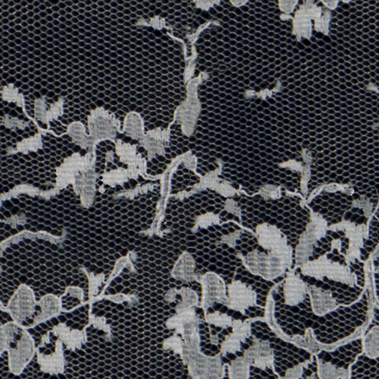 Fabric White Lace Pxr128 Cc By By Pixar main texture preview