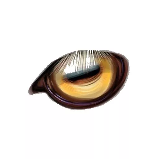 Fantasy8 main texture preview