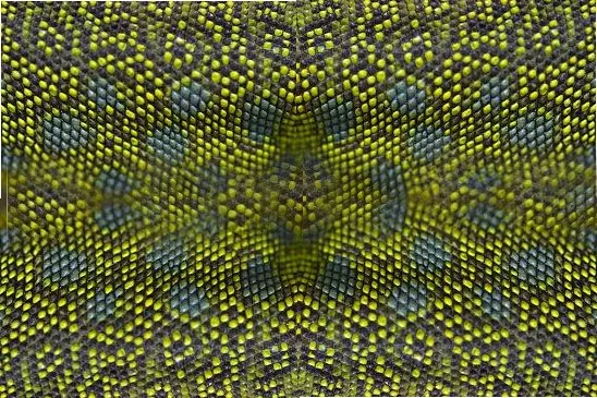 Green Tileable main texture preview