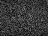 S S D24 Pressed Calf Leather main texture preview
