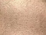 S S Stubble main texture preview