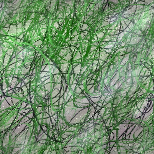Torley Com Tangleweeds Png By The One And Only Torley (Cc By) main texture preview