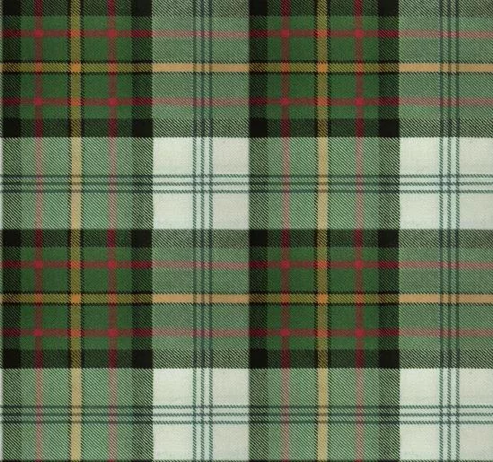 Plaid T main texture preview
