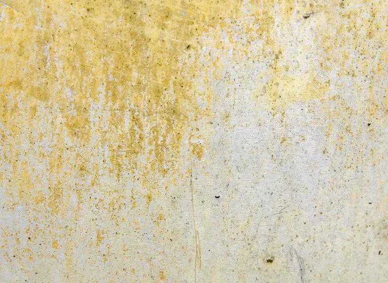 38 main texture preview