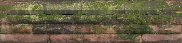 Wall Stone Church Mossy main texture preview