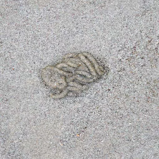 Sand 092 main texture preview