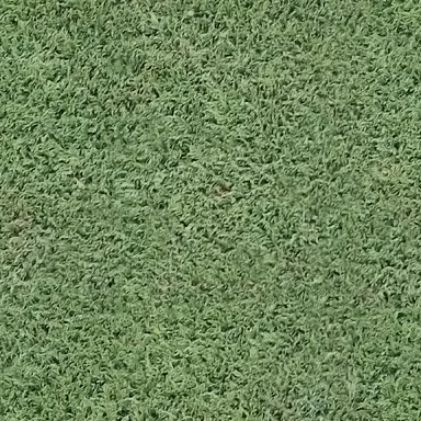 Foliage Hedge main texture preview