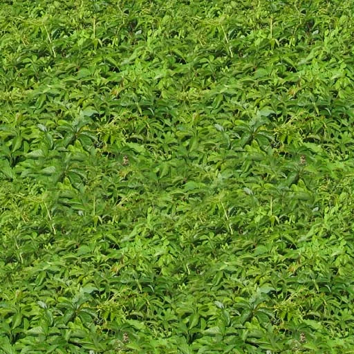 Haie03 main texture preview