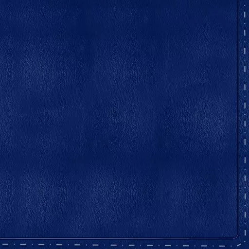 Dark Blue Leather Seams 3 main texture preview