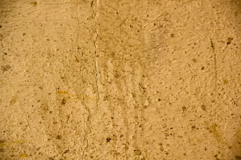 51 main texture preview