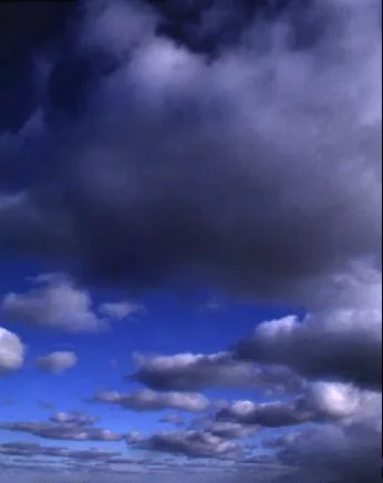 Cloud9 main texture preview