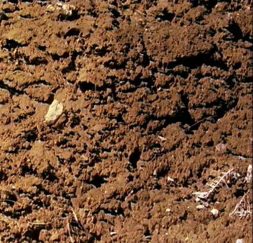Muddy1 main texture preview