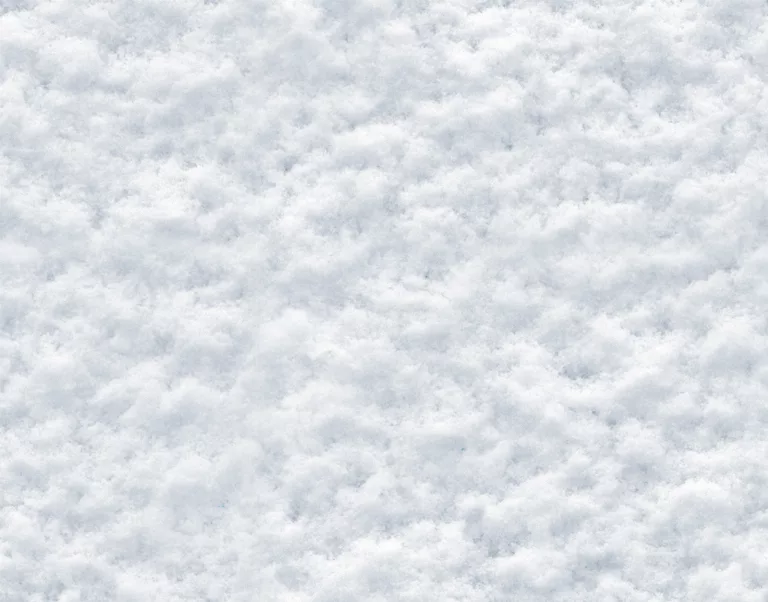 Snow Light Rough main texture preview