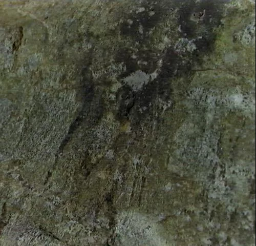 Stone1 main texture preview