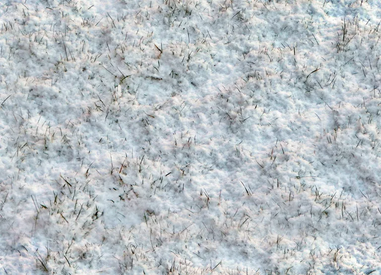 Snow Grass Blades2 main texture preview